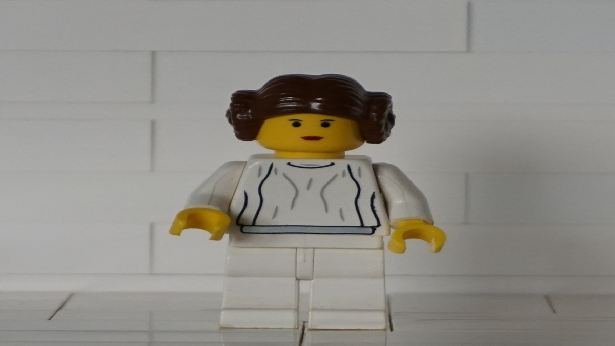 LEIA ORGANA